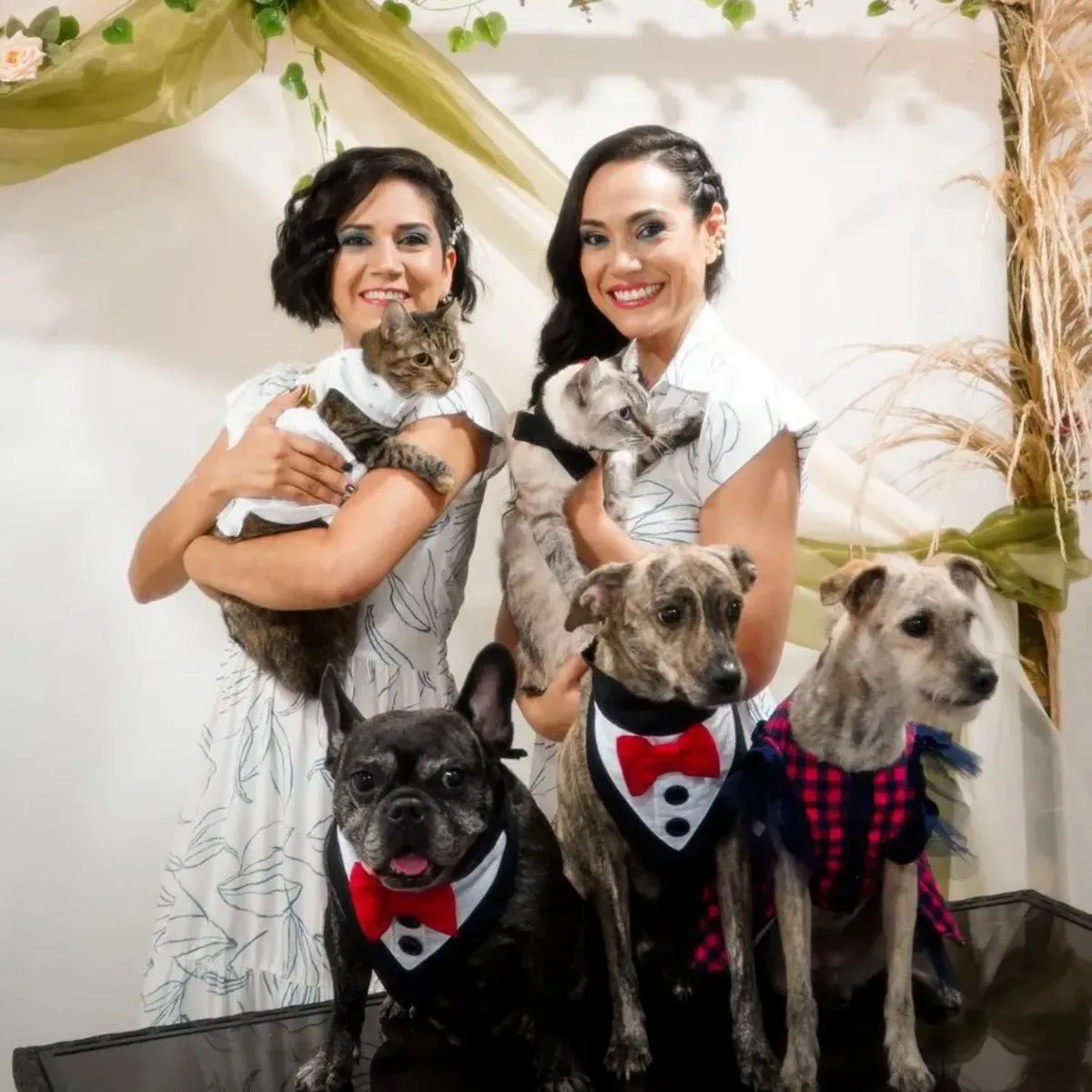 De la rutina sin alma a una vida con propósito: la historia detrás de las creadoras de PawZen
