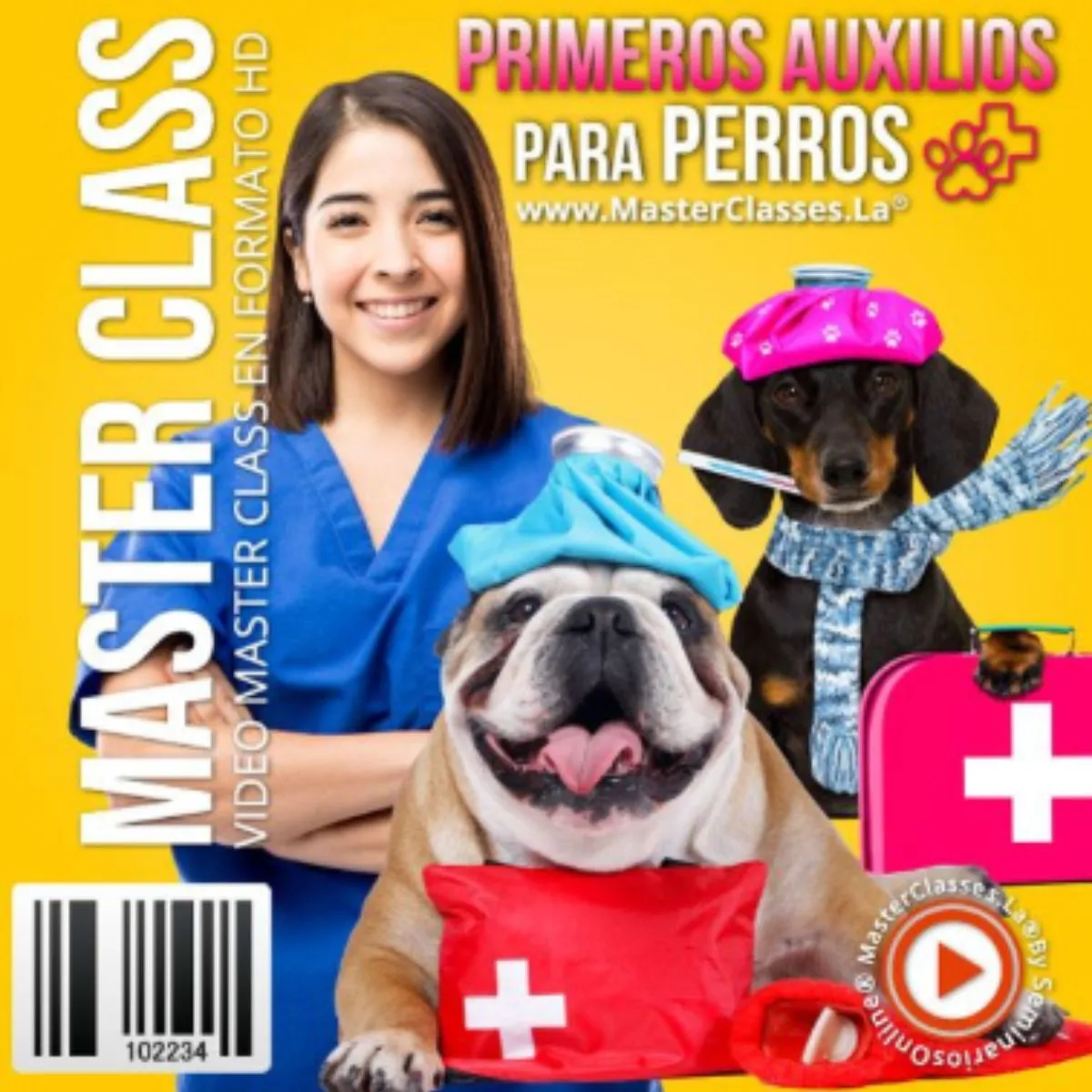 Primeros auxilios para perros