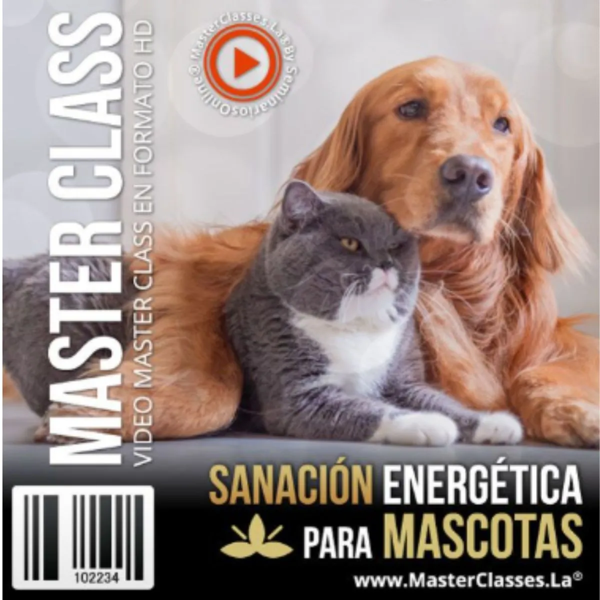 Sanación energética para mascotas