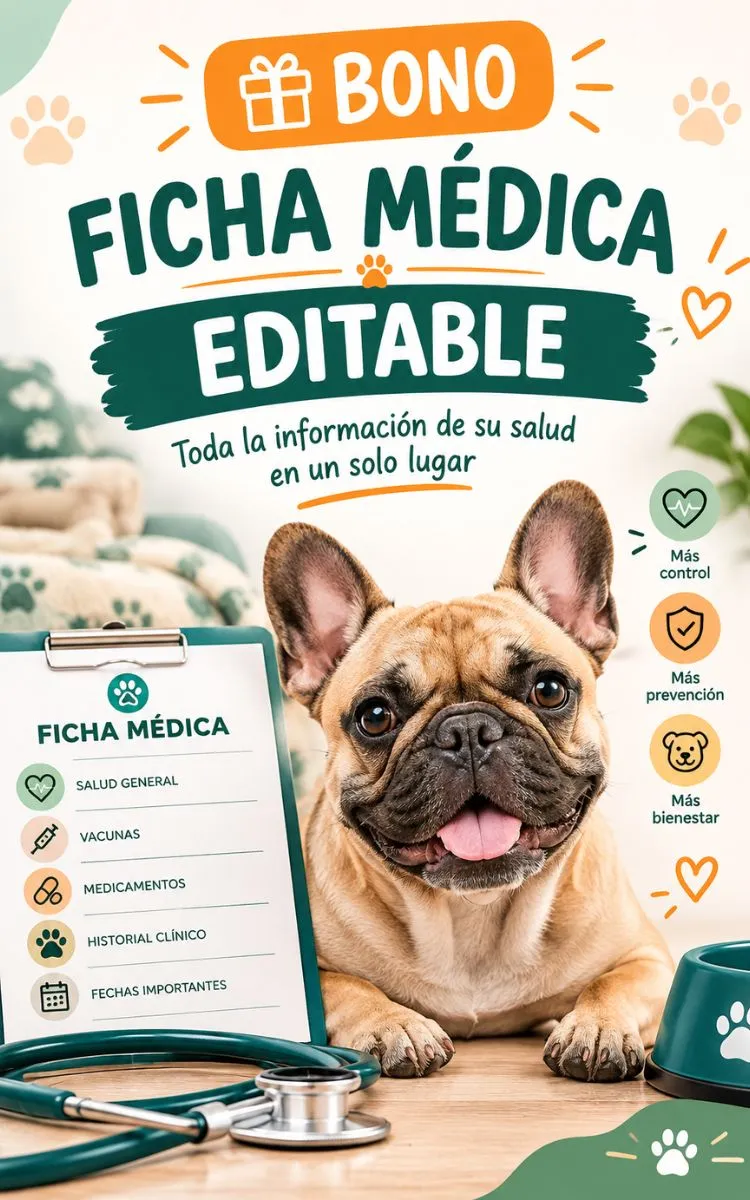 Ficha médica editable